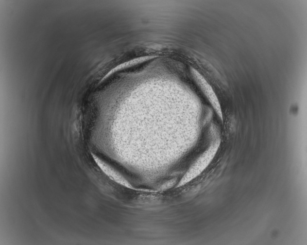 X0000116870914201001121258