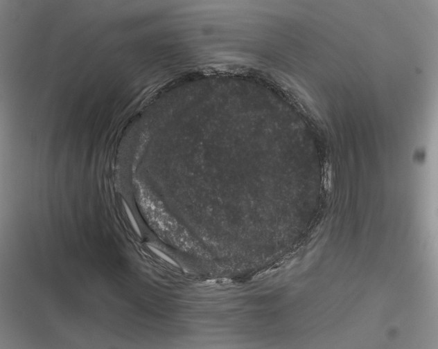 X0000116870915201001121258