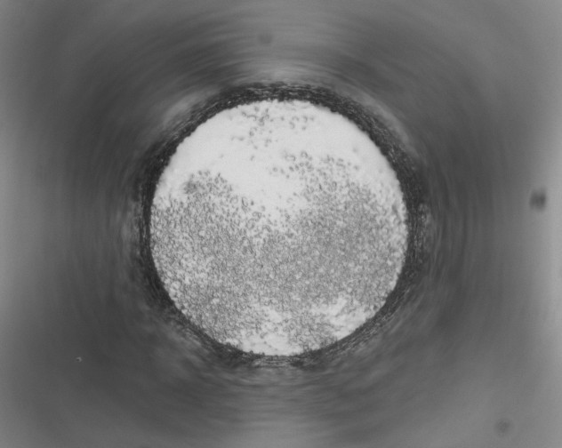 X0000116870918201001121258