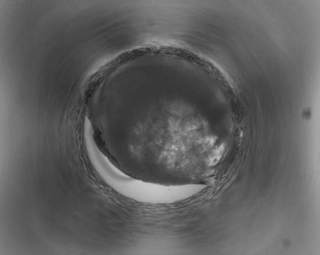 X0000116870919201001121258