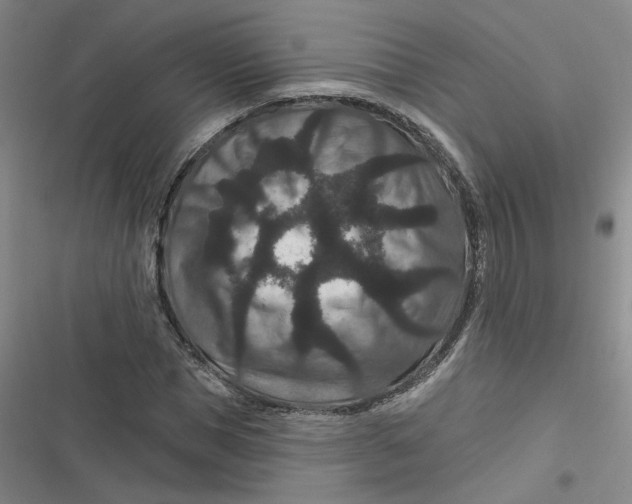 X0000116870921201001121258