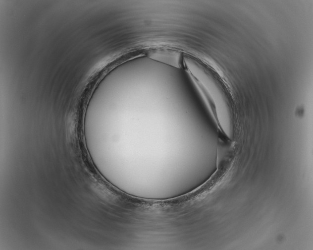 X0000116870922201001121258