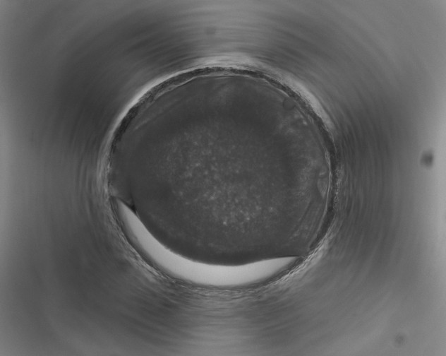 X0000116870923201001121258