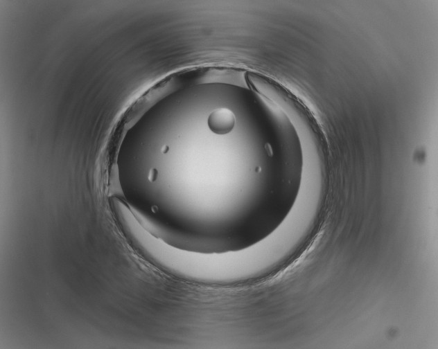 X0000116870925201001121258