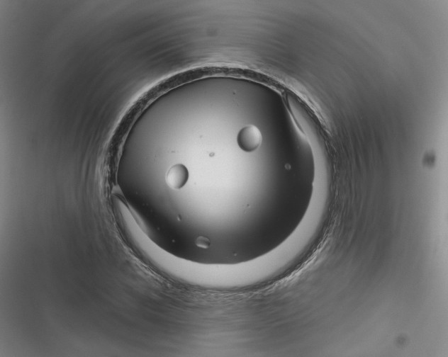 X0000116870926201001121258