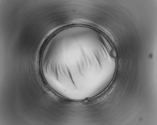 X0000116870931201001121258