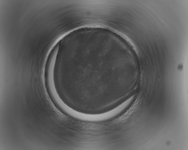 X0000116870935201001121258