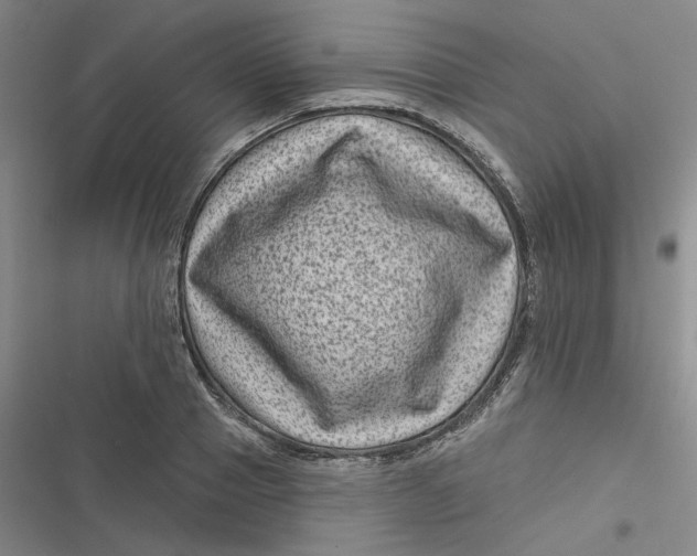 X0000116870937201001121259