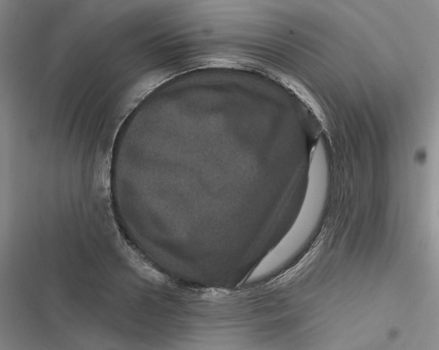 X0000116870938201001121259