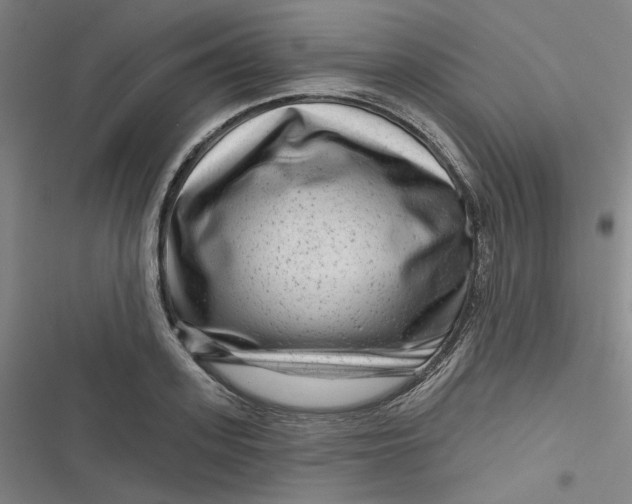 X0000116870939201001121259