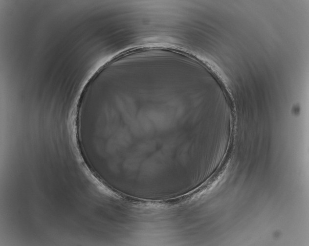 X0000116870941201001121259