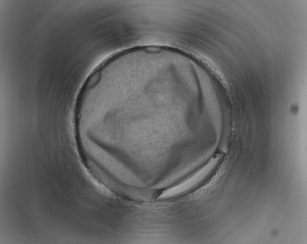 X0000116870942201001121259