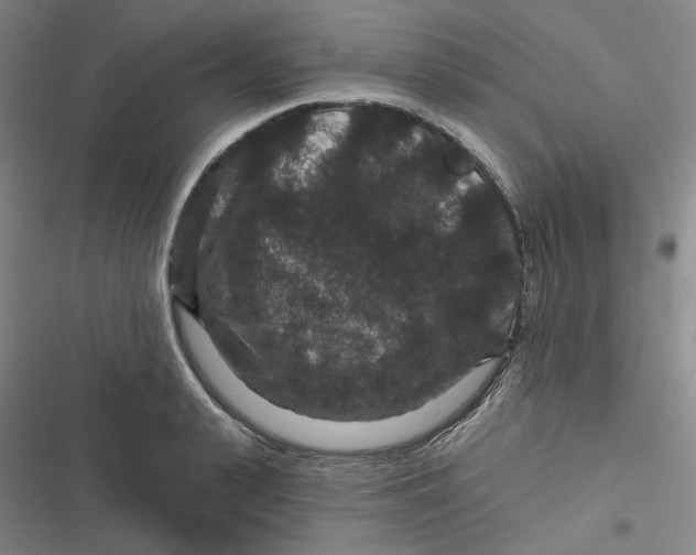 X0000116870943201001121259