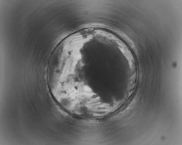 X0000116870945201001121259