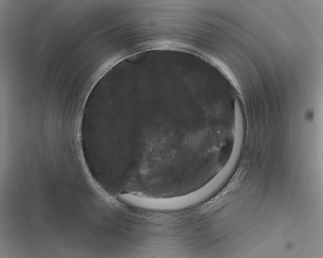 X0000116870946201001121259