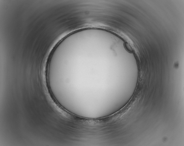 X0000116870947201001121259