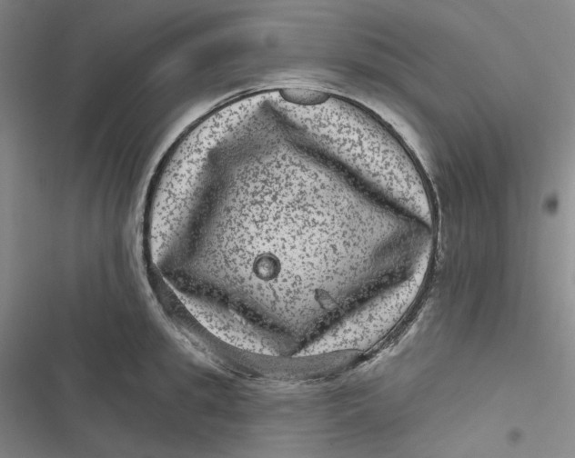 X0000116870949201001121259