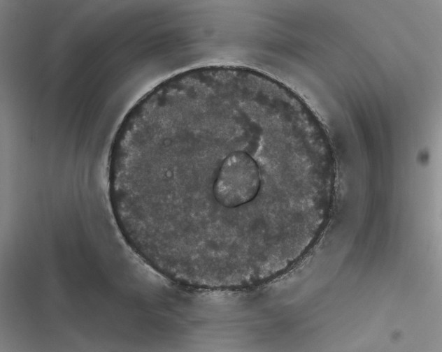 X0000116870950201001121259