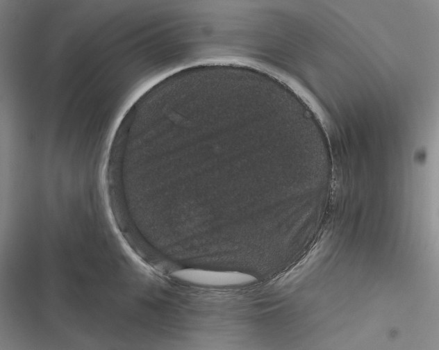 X0000116870951201001121259