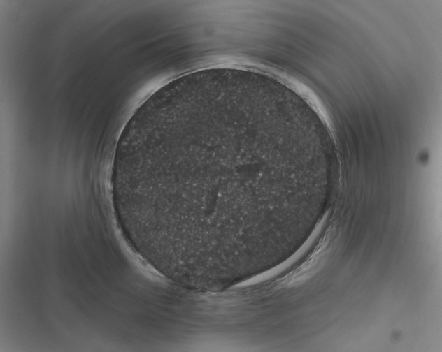 X0000116870954201001121259