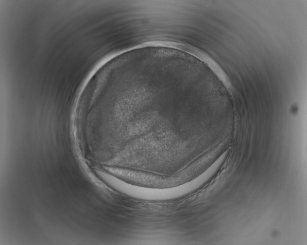 X0000116870955201001121259