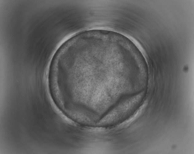 X0000116870957201001121259