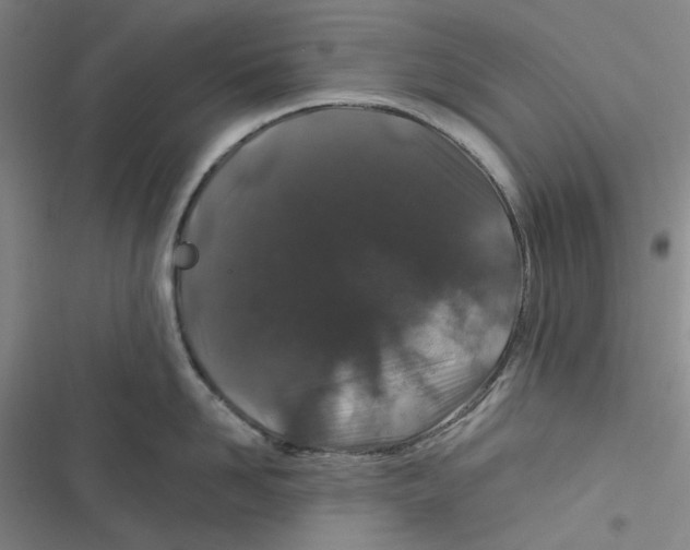 X0000116870958201001121259