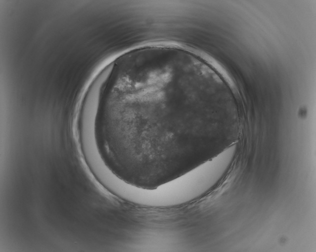 X0000116870959201001121259