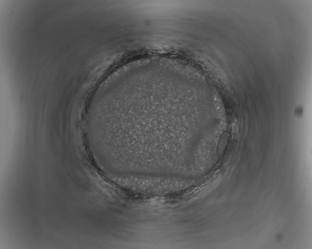 X0000116870961201001121258