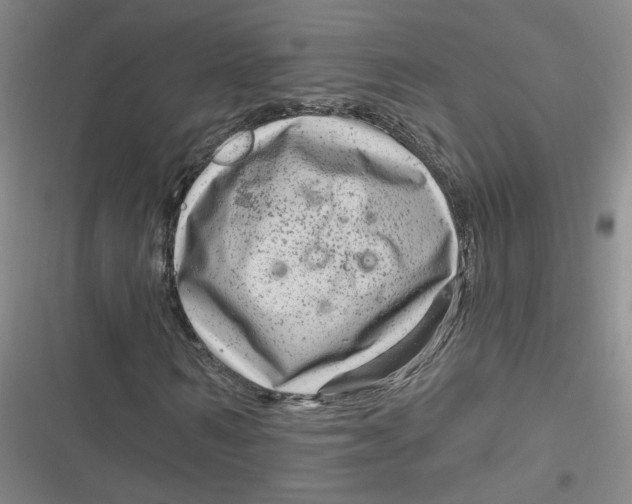 X0000116870962201001121258