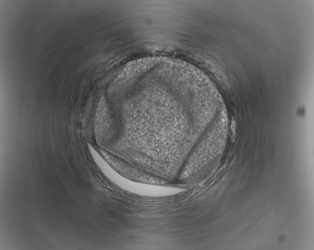 X0000116870963201001121258