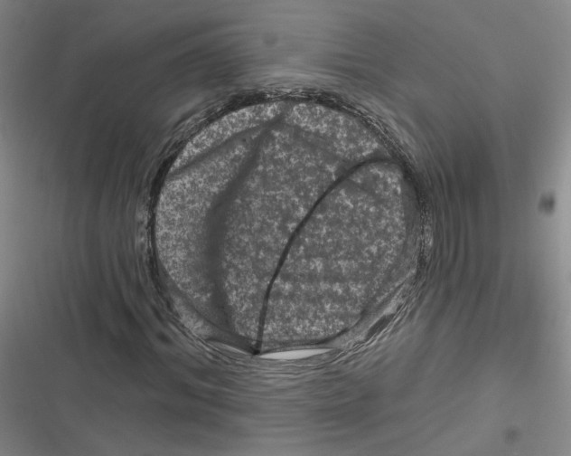 X0000116870964201001121258