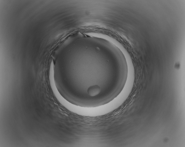 X0000116870965201001121258