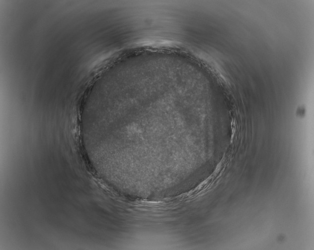 X0000116870966201001121258