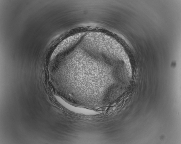 X0000116870967201001121258