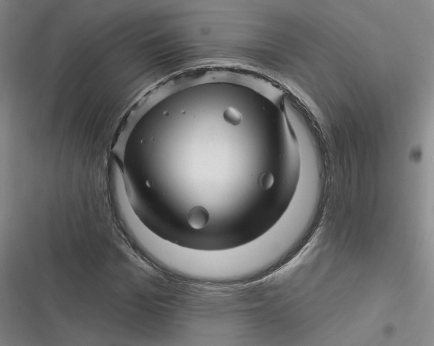 X0000116870969201001121258