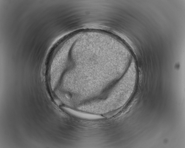 X0000116870971201001121258