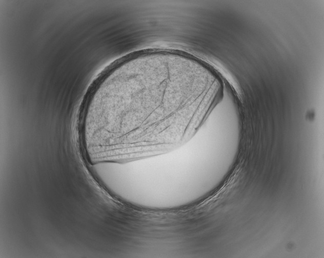 X0000116870972201001121258