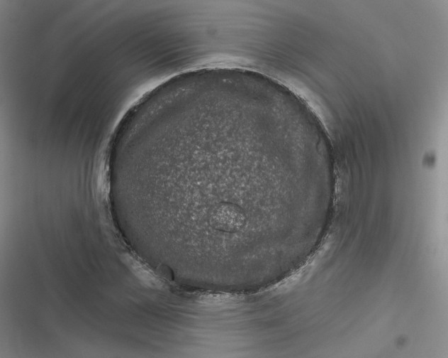 X0000116870973201001121258