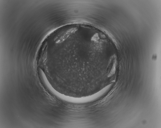 X0000116870975201001121258