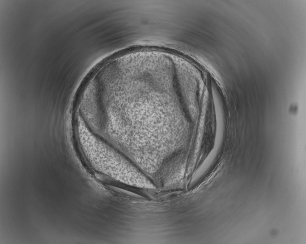 X0000116870976201001121258