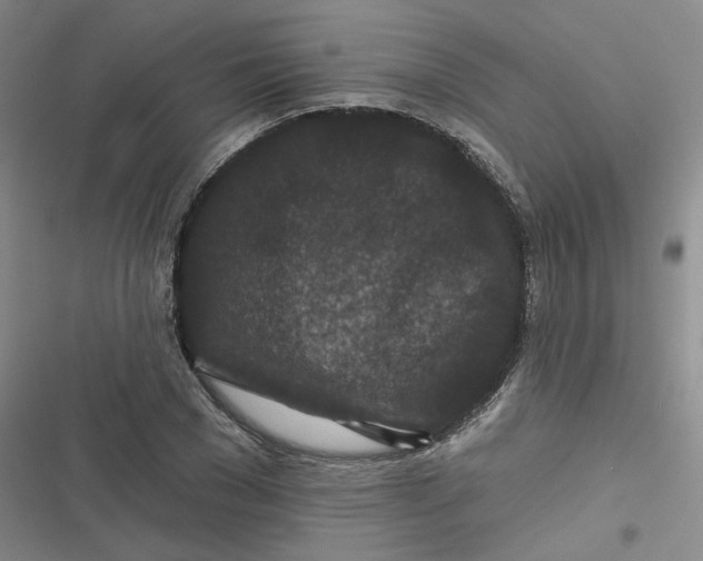 X0000116870977201001121258