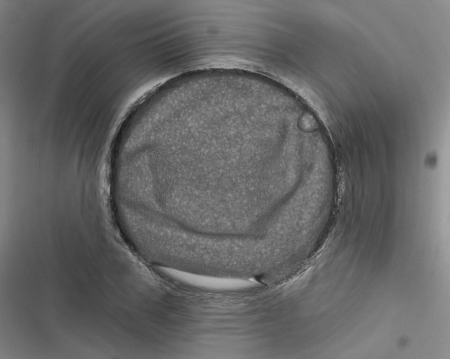 X0000116870979201001121258