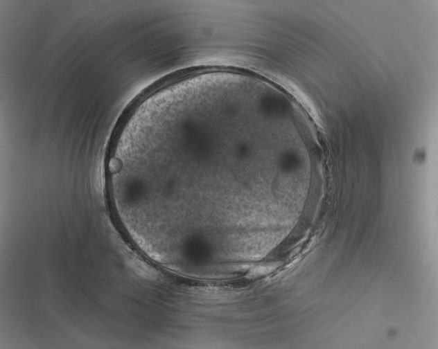 X0000116870980201001121258