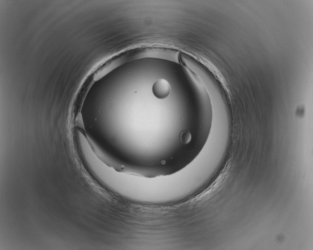 X0000116870981201001121258