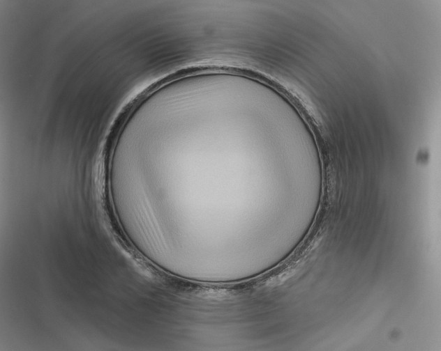 X0000116870982201001121258