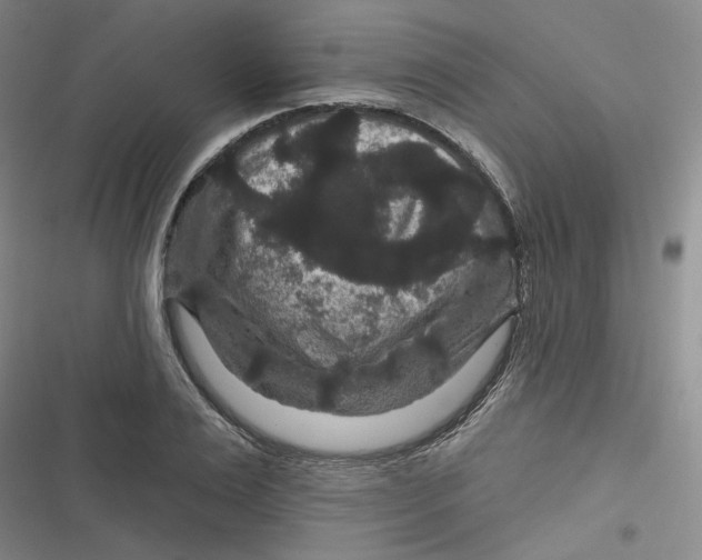 X0000116870983201001121258