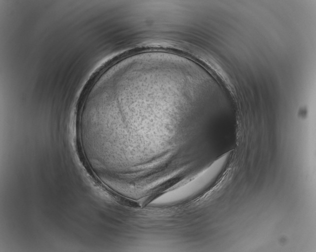 X0000116870984201001121258