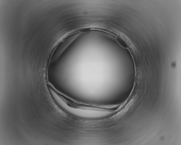 X0000116870985201001121258