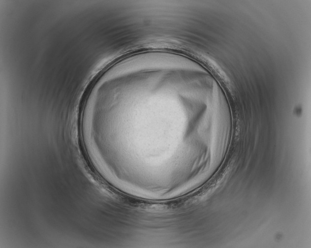 X0000116870986201001121258